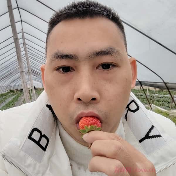吉安征婚相亲网